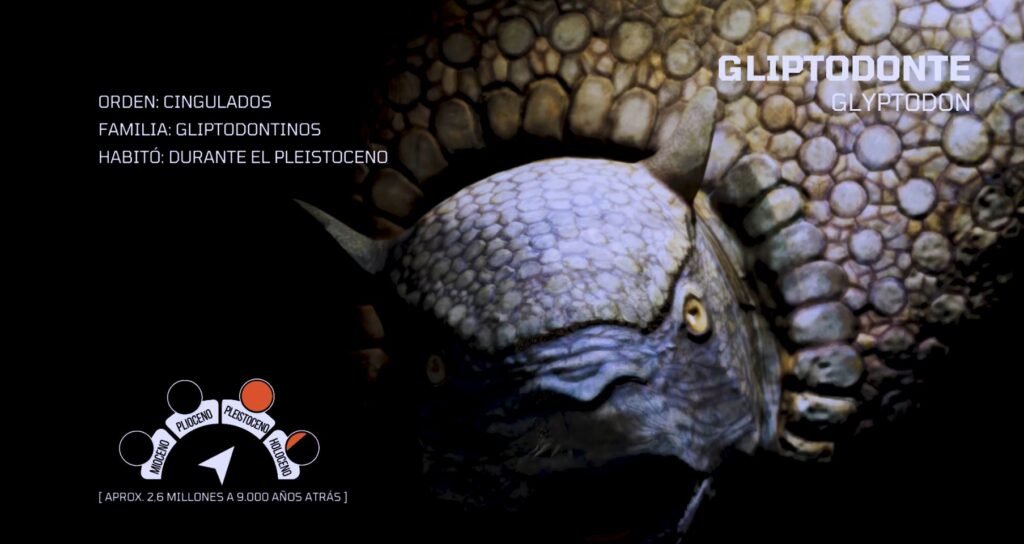 Infografía Gliptodonte