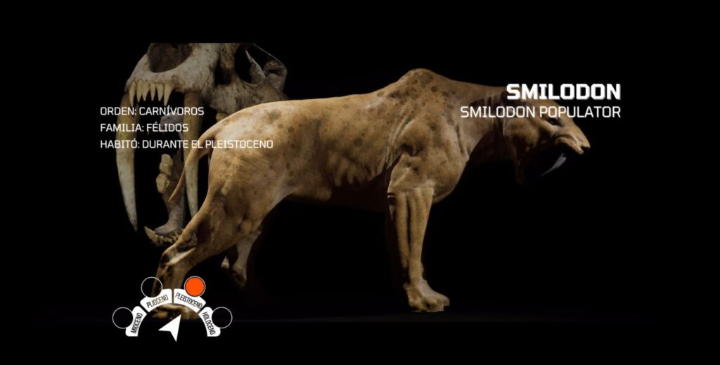 Infografía Smilodon